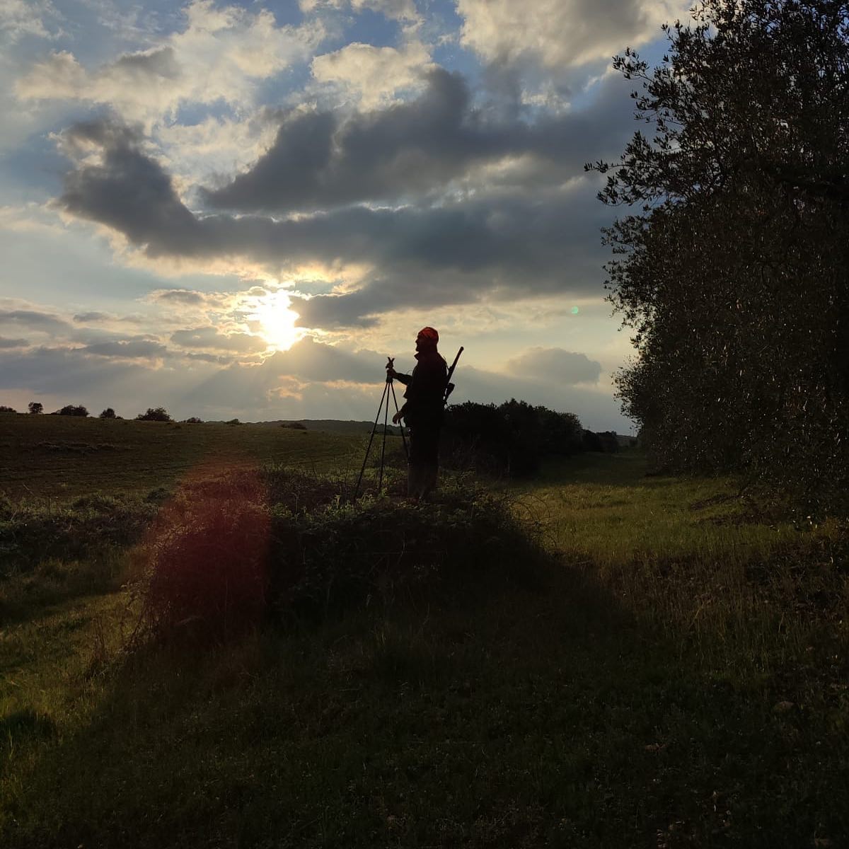 IndiensFrancais's tweet photo. Vivement le mois de Juin !!

#IndiensFrançais #Ouverture #Approche #Chasse #Juin #Nature #Faune #Flore https://t.co/uH0tdAoLfc