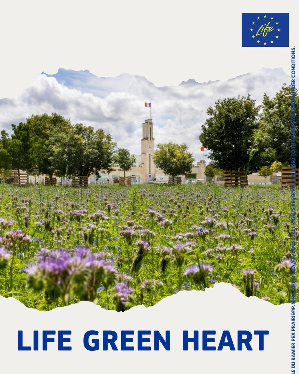 LIFE is cooling cities 🌿

The #LIFEProject Green Heart aims to cut urban temps by 3°C in France, bringing cooler streets, more biodiversity, and greener spaces🌳

Partnering with @EUMayors on #CitiesRefresh to fight extreme heat.

Learn more: metropole.toulouse.fr/life-green-hea…

#HitRefresh