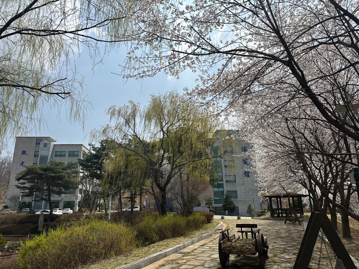 FarEastUniv's tweet photo. #FarEastUniversity #FEU #SpringCampus
#CherryBlossoms #CampusInBloom #AprilVibes
#StudentLife #SpringWalks #SeasonOfYouth https://t.co/mMzePgOyE2
