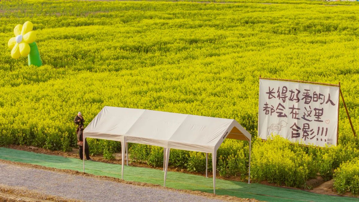 ImHuaiAn's tweet photo. 🌾 April's golden wave of blooms rolls across #Huaian! Thousands of acres of rapeseed flowers ripple with silken softness, where shattered sunlight dances on every petal—even the distant city's steel outlines melt into a gentle golden haze. 🌞🌆 #HuaiAnBlooms #GoldenSpring https://t.co/zrYrdrNG1j