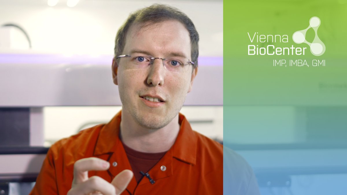 IMP (@impvienna) on Twitter photo Explore the research done at Moritz Gaidt’s lab with the Vienna BioCenter #PhD Program (<a href="/TrainingVbc/">Vienna BioCenter Scientific Training</a>)!
⏳ Deadline: April 15 🚨
Don't miss your chance—apply now: training.vbc.ac.at/phd-program/
📽️Watch Moritz Gaidt's 'Scientist Snapshot': youtube.com/watch?v=R7nwAW… Explore the research done at Moritz Gaidt’s lab with the Vienna BioCenter #PhD Program (<a href="/TrainingVbc/">Vienna BioCenter Scientific Training</a>)!
⏳ Deadline: April 15 🚨
Don't miss your chance—apply now: training.vbc.ac.at/phd-program/
📽️Watch Moritz Gaidt's 'Scientist Snapshot': youtube.com/watch?v=R7nwAW…