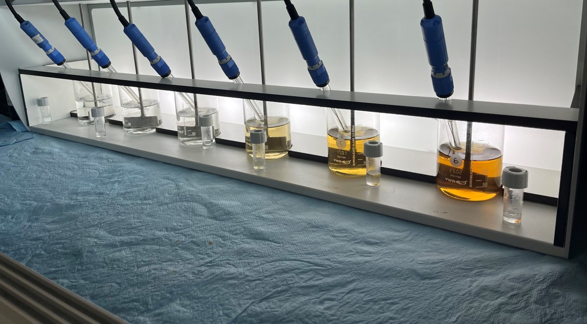 wetsus's tweet image. cutting-edge research on #modeling #coagulation and #flocculation in cooperation with top European partners and experts. Apply: phdpositionswetsus.eu/2025-07-phd-pr…
#PhDresearch  #PhDposition #Sciencejobs #academiccareer  #watertech #chemicalengineering #analyticalchemistry #chemometrics