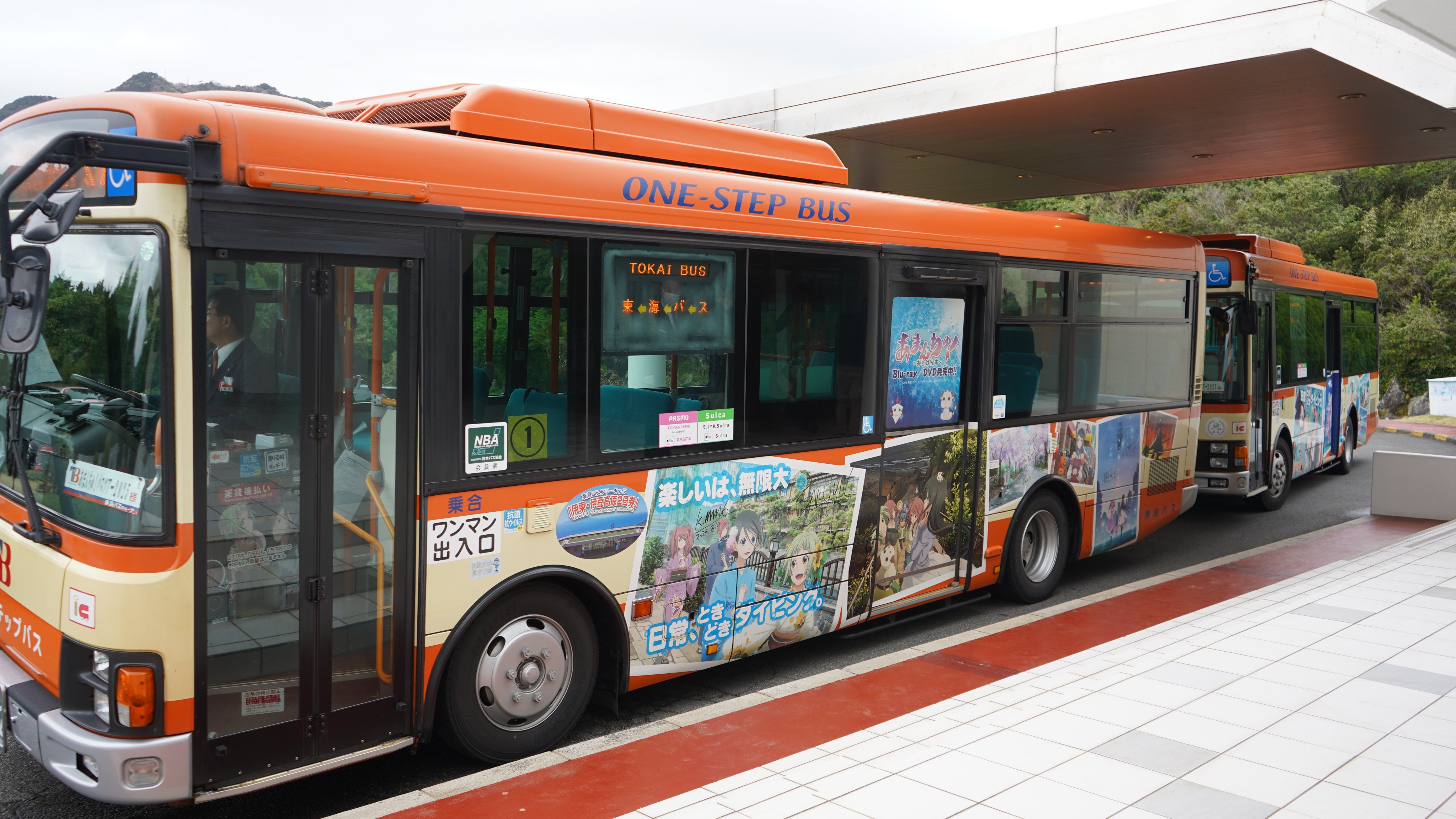 昭和30年[東海自動車バス時刻表/東海バス]伊豆急開業前/国鉄連絡