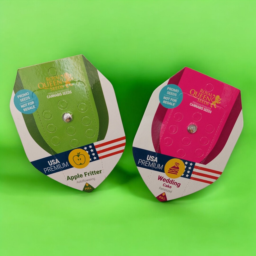 HANFTOPIA tweet media