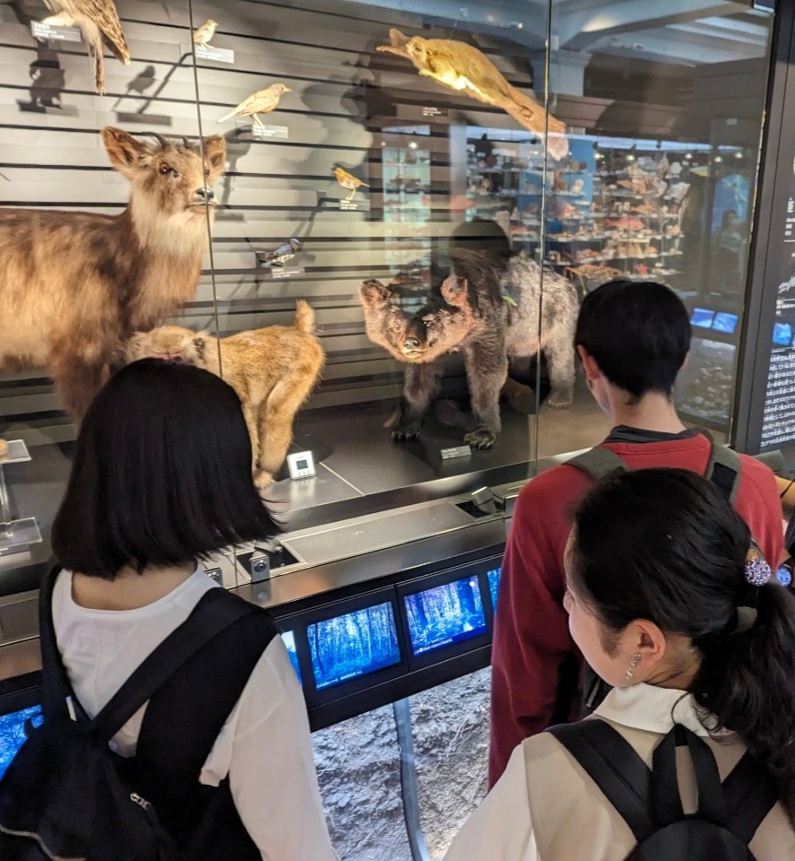 ut_cast_nc's tweet photo. 4/12(土)に科学館巡りを開催します。

CASTメンバーと一緒に、国立科学博物館に行きましょう。
CASTと一緒に回れば楽しさ倍増！？

午前と午後に分けて実施します。また、学生証持参で入場無料です。
新歓LINEからお申込みください！
https://t.co/OqXm3ex8Yr

#春から東大 #東大オリ2025 #東大CAST https://t.co/IFt6uxYxje