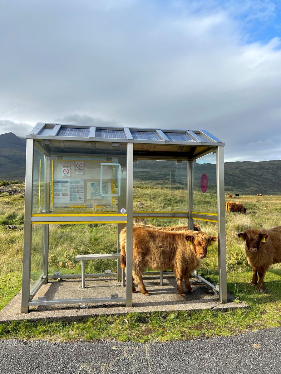 74frankfurt's tweet photo. Bus Stop of The Day: Pennyghael, Isle of Mull. Pic: Iona Bruce https://t.co/hjQtYwBUV4