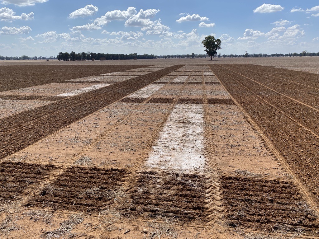 Ben Morris tweet media