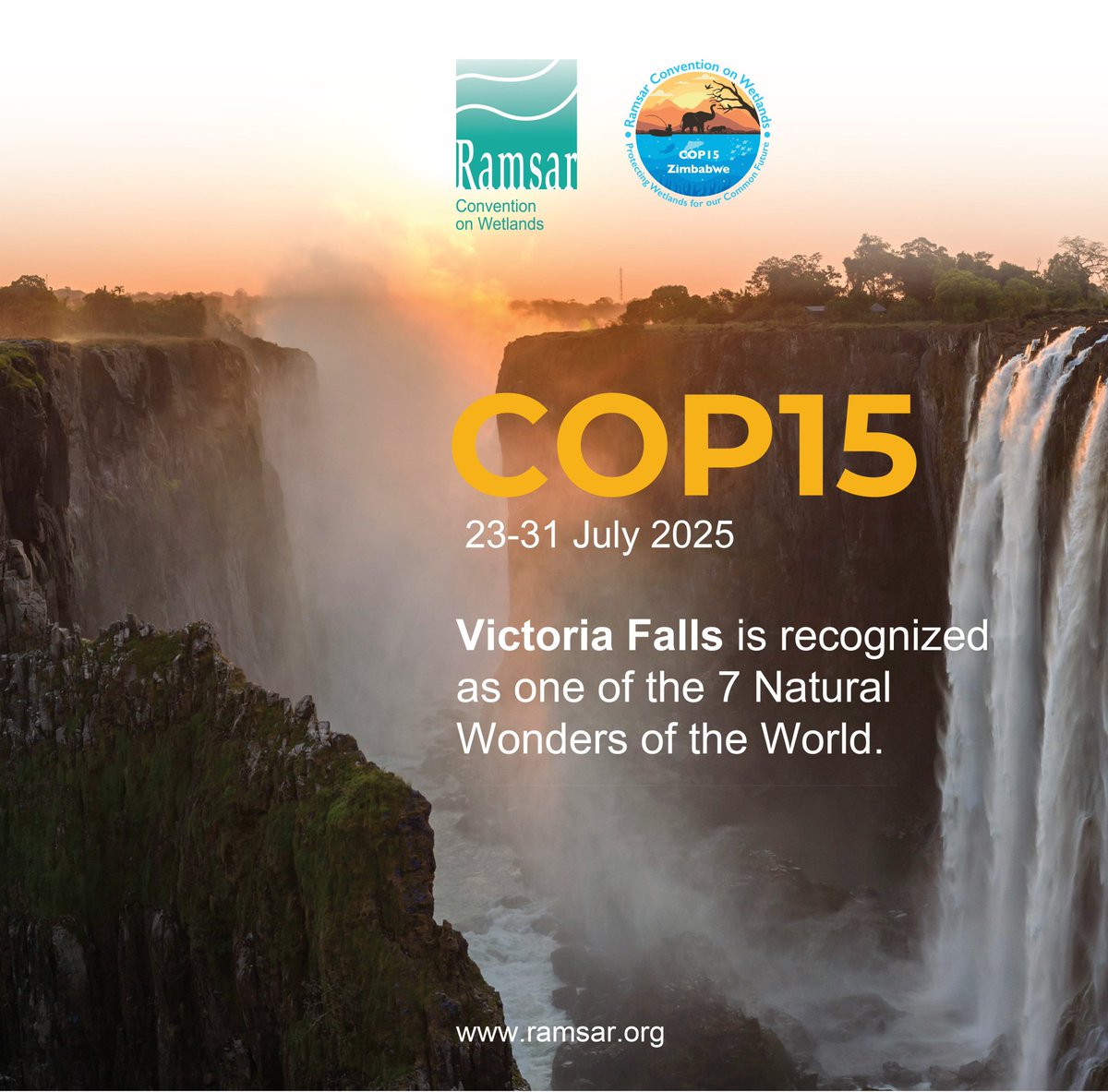 103 days left for Zimbabwe to host COP 15 Ramsar Convention on Wetlands, and currently, the greenways in Harare West are under threat

Harare's major water sources originate from the vlei and open green spaces #SaveOurGreenways <a href="/EMAeep/">E.M.A</a> <a href="/networkforenvi1/">network for environmental and climate justice</a> <a href="/MinOECW/">Ministry of Environment, Climate and Wildlife</a> <a href="/birdlifezim/">BirdLife Zimbabwe</a>
