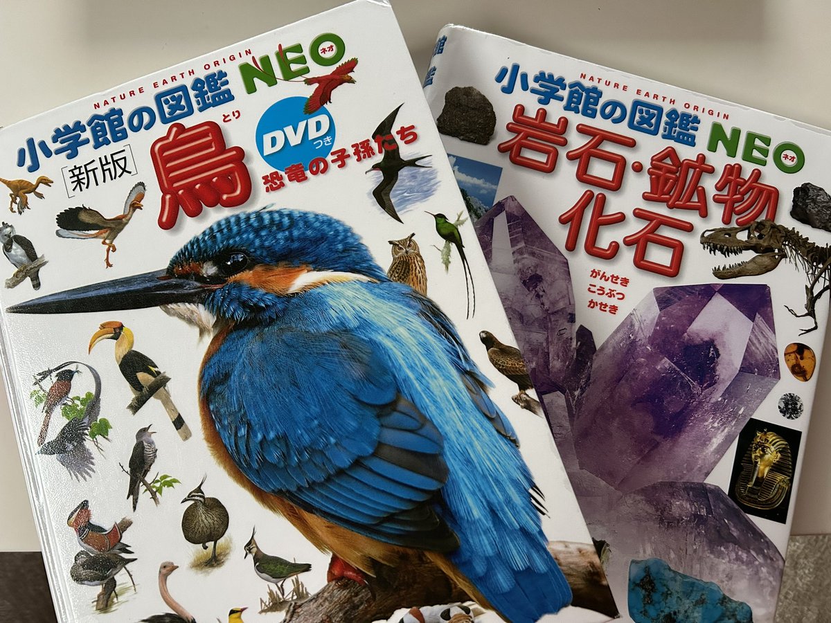 anbebechan's tweet photo. 山のいろいろは、結局これなのかもしれないと、何十年ぶりに手にとってみました。

意外と専門的なページもあり面白い！ https://t.co/XMGo6S77Tm
