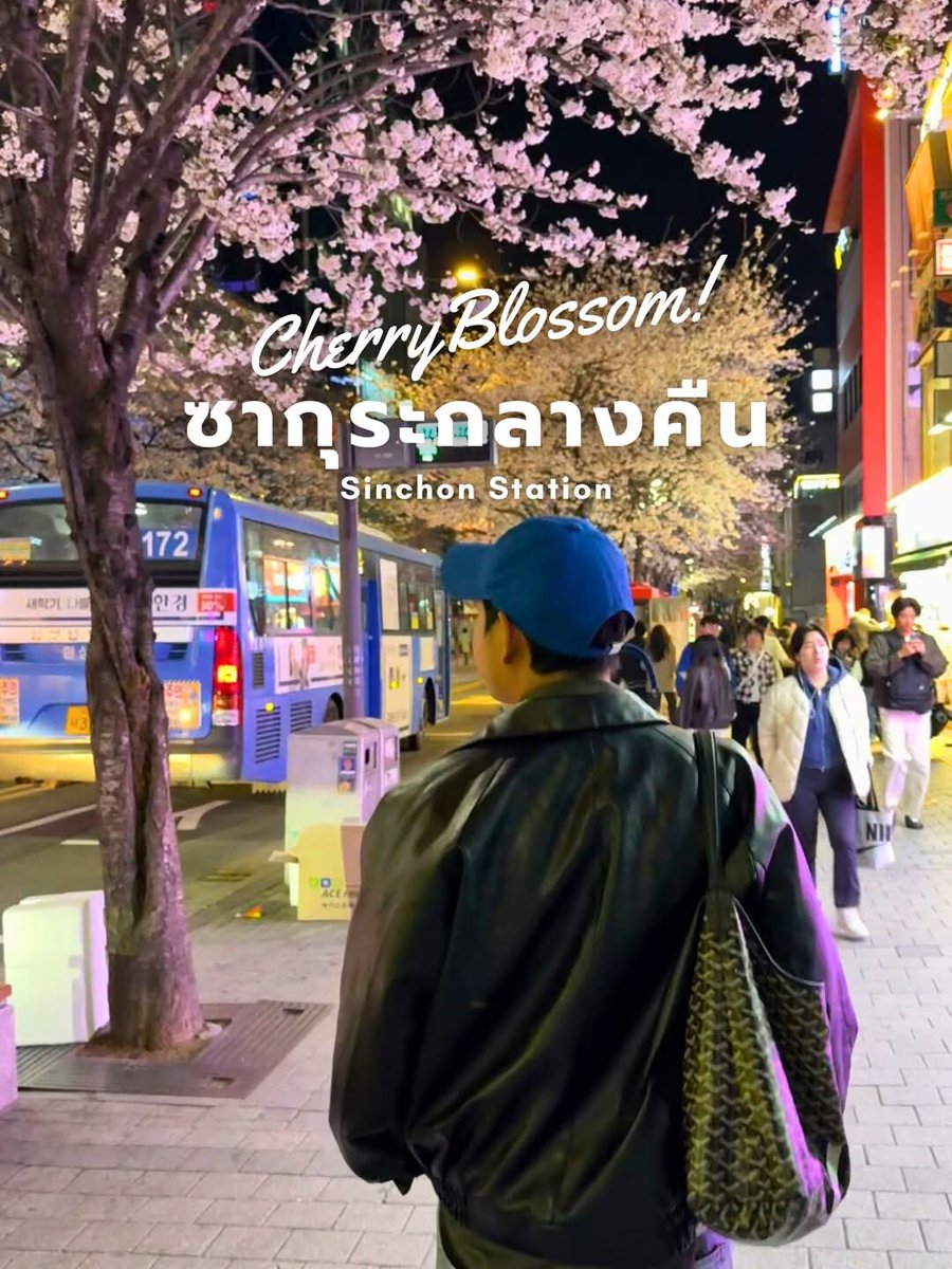 friendalee93's tweet photo. เดินเล่นชมซากุระกลางคืน สถานีชินชน (Sinchon Station) 
🌸มีอุโมงค์ซากุระยาวกว่า 1 กิโลเมตร ให้เดินชมดอกไม้สีชมพูสวย ๆ ตอนกลางคืนมีไฟถนนส่องตลอดทาง ทำให้บรรยากาศดูอบอุ่นมากขึ้น
#SinchonStation #ซากุระโซล #เที่ยวเกาหลี #SeoulSpring #ซากุระเกาหลี #ถ่ายรูปซาก��ระ #รีวิวเกาหลี https://t.co/UmSXEJPNM7