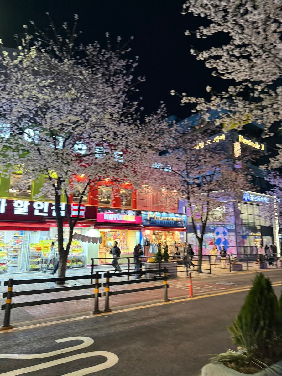 friendalee93's tweet photo. เดินเล่นชมซากุระกลางคืน สถานีชินชน (Sinchon Station) 
🌸มีอุโมงค์ซากุระยาวกว่า 1 กิโลเมตร ให้เดินชมดอกไม้สีชมพูสวย ๆ ตอนกลางคืนมีไฟถนนส่องตลอดทาง ทำให้บรรยากาศดูอบอุ่นมากขึ้น
#SinchonStation #ซากุระโซล #เที่ยวเกาหลี #SeoulSpring #ซากุระเกาหลี #ถ่ายรูปซาก��ระ #รีวิวเกาหลี https://t.co/UmSXEJPNM7