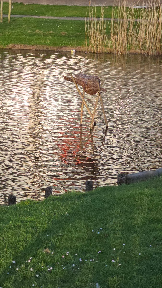 Spitss's tweet image. Weet iemand wat dit is en waar ze voor zijn. Zie ze in verschillende vijvers staan.