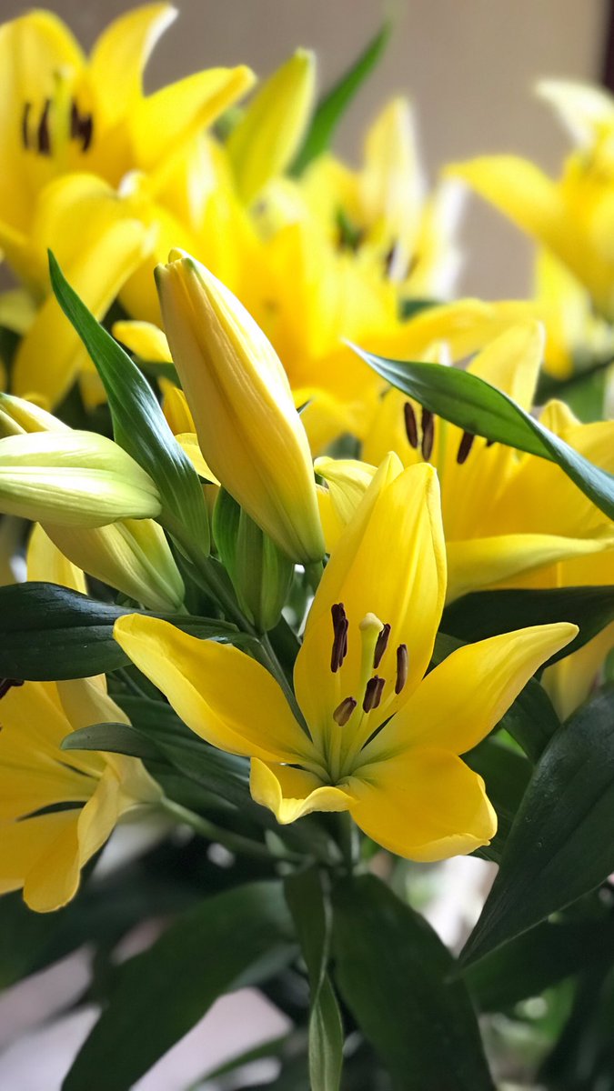 انت الرِّقة بعُمري الزاهيّ 🌸🌱