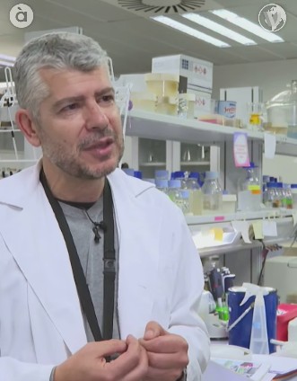 Nuestro compañero Manuel Rodríguez Concepción explica las estrategias empleadas para hacer las lechugas doradas. Ricas en carotenoides y vitaminas.
instagram.com/reel/DIL6JE2qq…