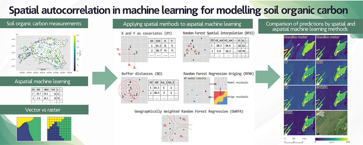 New study alert!🚨 We developed 5 Random Forest models with spatial strategies to predict soil organic carbon 🌍🌱Our top performer? Random Forest Spatial Interpolation for capturing spatial structure. Small but meaningful accuracy gains &amp; spatial covariates often replaced others