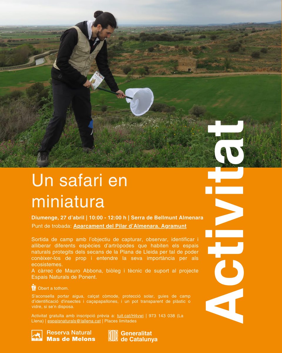 Què us semblaria participar en un safari en miniatura?🦋
Farem una sortida de camp per descobrir les diferents espècies d'artròpodes que habiten per la zona de la Serra de Bellmunt-Almenara.
👉 Ja us hi podeu inscriure mitjançant aquest enllaç: tuit.cat/H4vwi