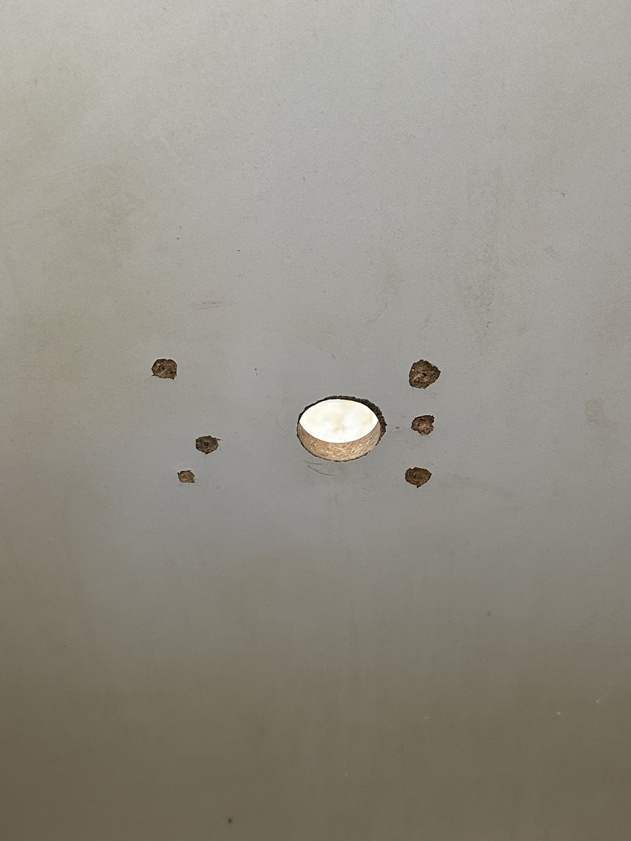 弟弟想玩你 tweet media