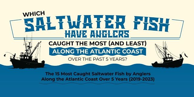 Visualistan tweet media