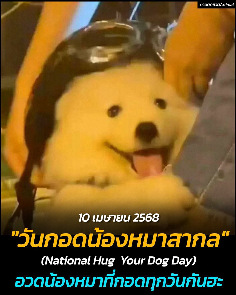 ใครกอดน้องม๋าบ้าง