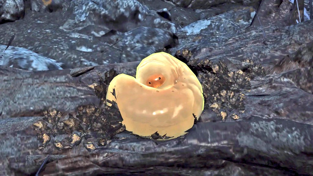 rw_yu_'s tweet photo. カブトムシの幼虫みたいなのになんかかわいい
移動ついでにこれスリンガーで取って食べてるのか.. https://t.co/UrKv7FnWjl