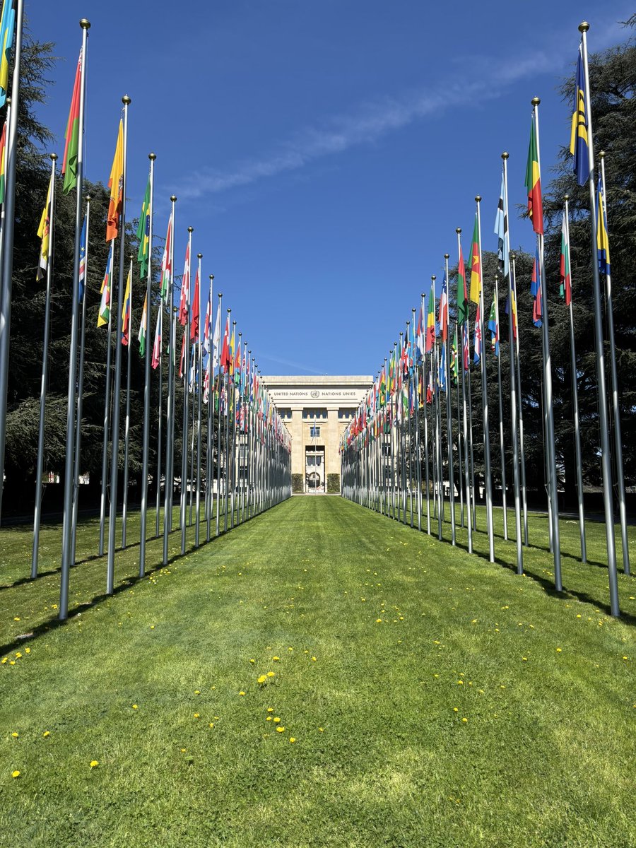 afonso_lages's tweet photo. Productive week in sunny Geneva for the #EU working party dealing with @UN affairs, #CONUN.
Engaging with @EU_UNGeneva, @UNCTAD, @UNmigration, @UN Secretariat, JIU, Member States & civil society, as we navigate mounting pressures on multilateralism.
@PTMissionGeneva https://t.co/3d5Ktt92Me