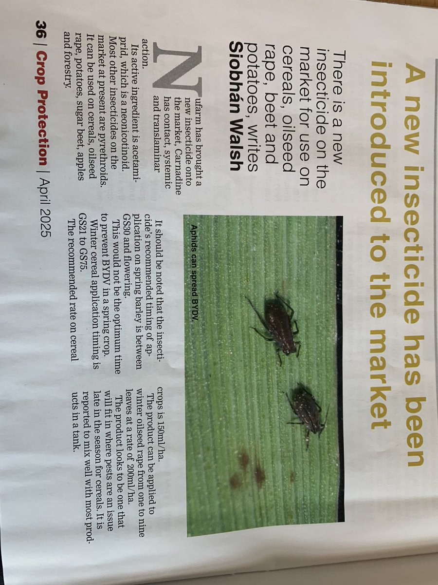 Martin Fitzpatrick tweet media