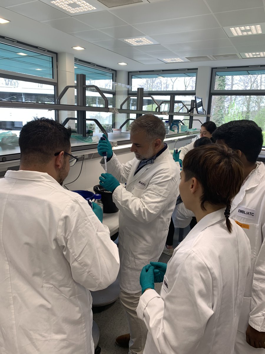 Good morning from #EMBOMetaG! We’re already deep into the first practical of the day: ‘Inactivation of Ligase, Dialysis, and Transformation of E. coli (Electroporation).’