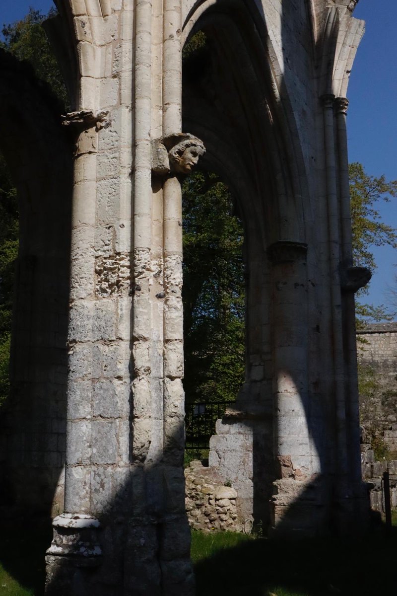 Jan Véronique tweet media