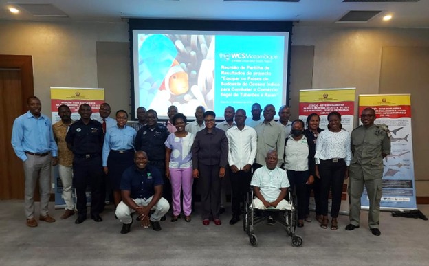 #Shark and #Ray Conservation and Management: #Mozambique  Raises Awareness and Highlights Progress in Combating Illegal Trade:
mozambique.wcs.org/About-Us/News/…