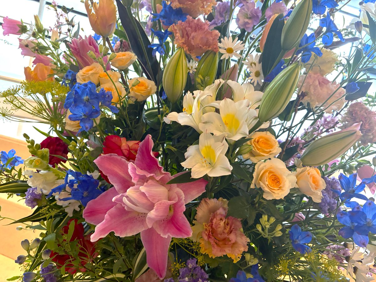 cooljapan_News's tweet photo. 🌸2025年度入学式を挙行しました🌱

お天気にも恵まれ、素晴らしい式となりました！
在校生代表も胸を張って歓迎の言葉を伝えてくれました✨

改めて新入生の皆さん、ご入学おめでとうございます🎉
明日からいよいよ学校生活がはじまりますね！
夢に向かって一緒にがんばりましょう🕊 https://t.co/N4TnkVSc2g