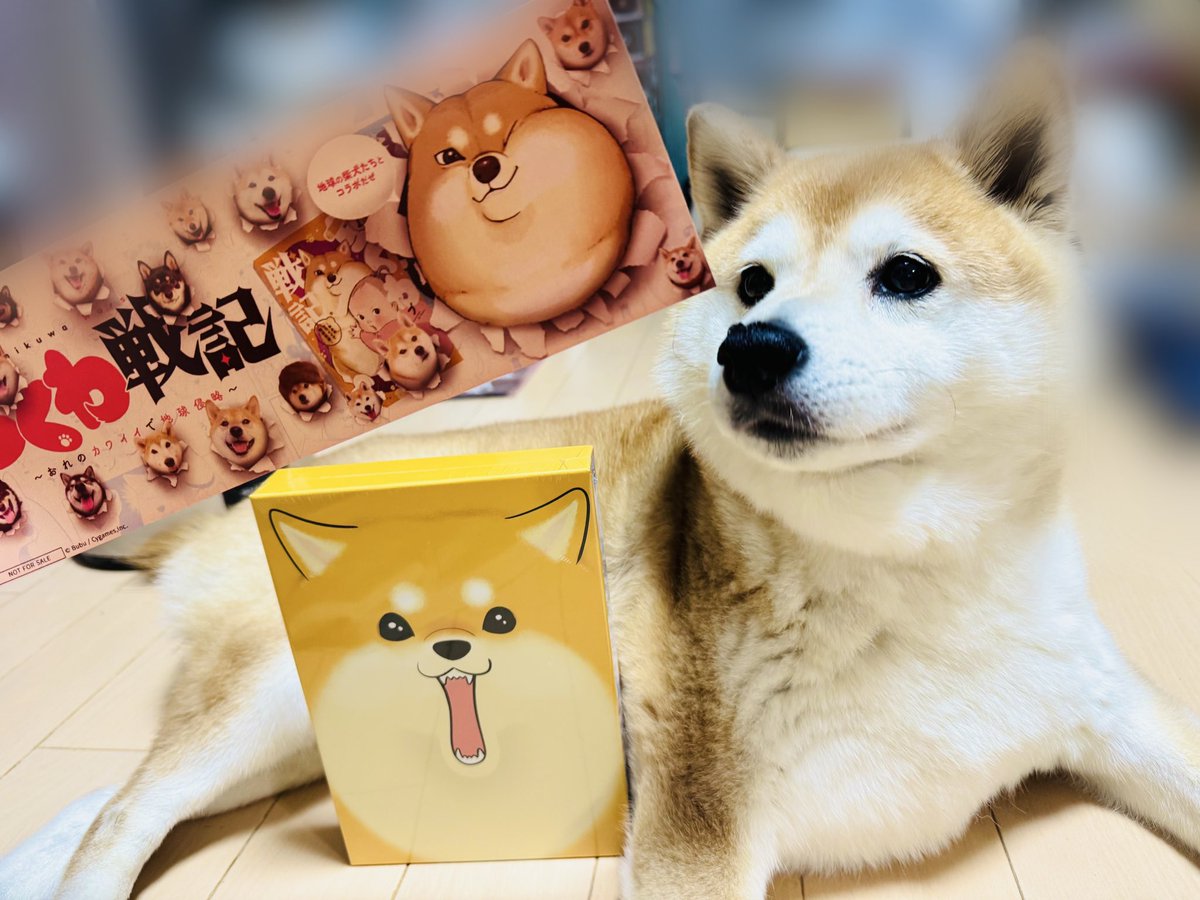 YUE_103's tweet photo. #ちくわ戦記 

みやびくんが掲載されました◎

諸事情により2日目からの掲載なので元ポストにはみやびくんはいないのですが、本日現地にてしっかり撮影してきました📷˖⋆꙳

本も購入してきたよ~！
昨日からアニメも始まってるので皆様も是非- ̗̀🙌  ̖́-

み~ちゃん良かったね、記念になったね…！ https://t.co/K93rMaUWBf