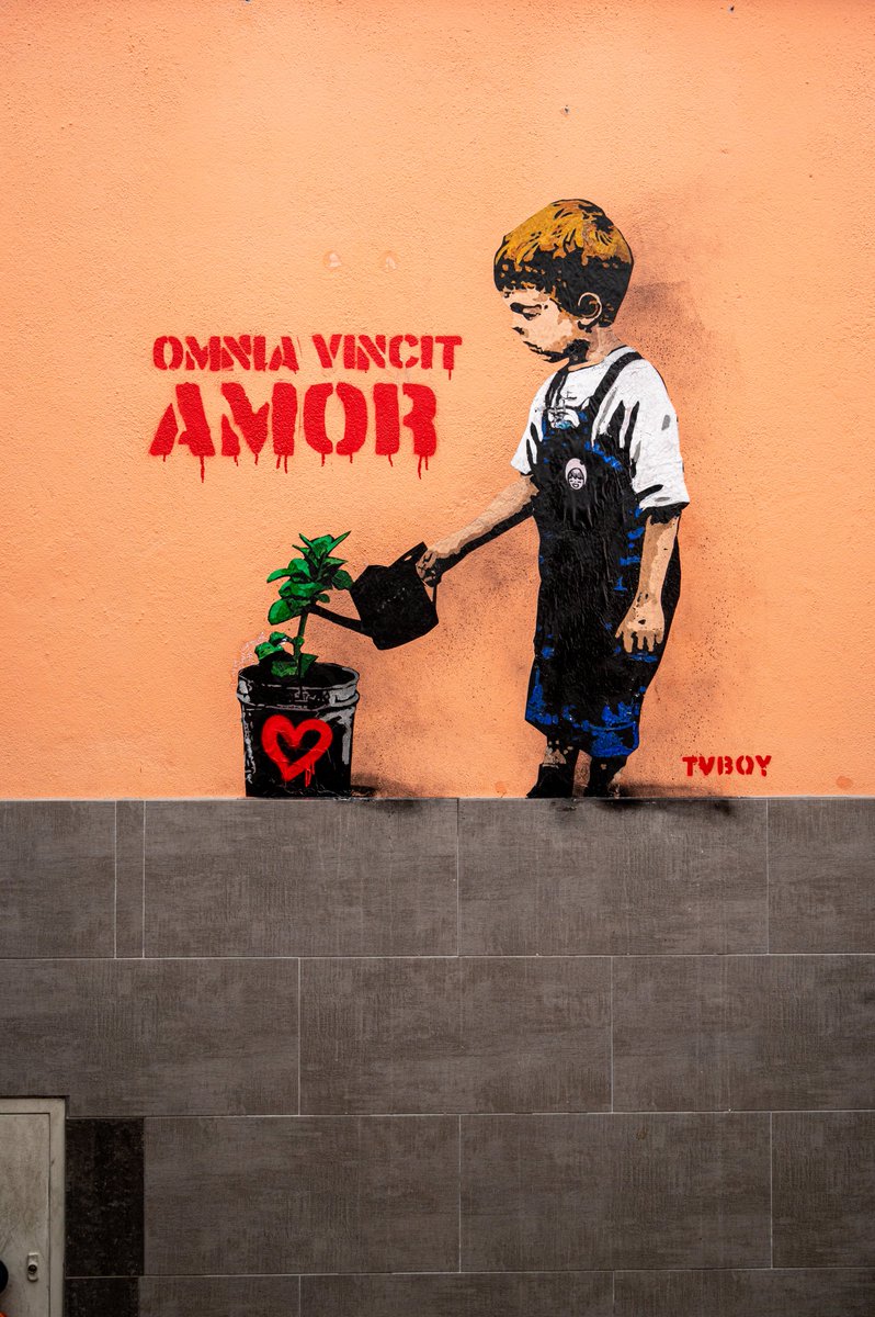 opera_francesco's tweet photo. @tvboy  ha donato un murales a Opera San Francesco. Grazie di esserci venuto a trovare e di aver lasciato questo importante "segno". Il murales si trova davanti agli sportelli del Servizio Accoglienza di via Kramer 1 a Milano. Andate a vederlo! https://t.co/XESw7nHPND