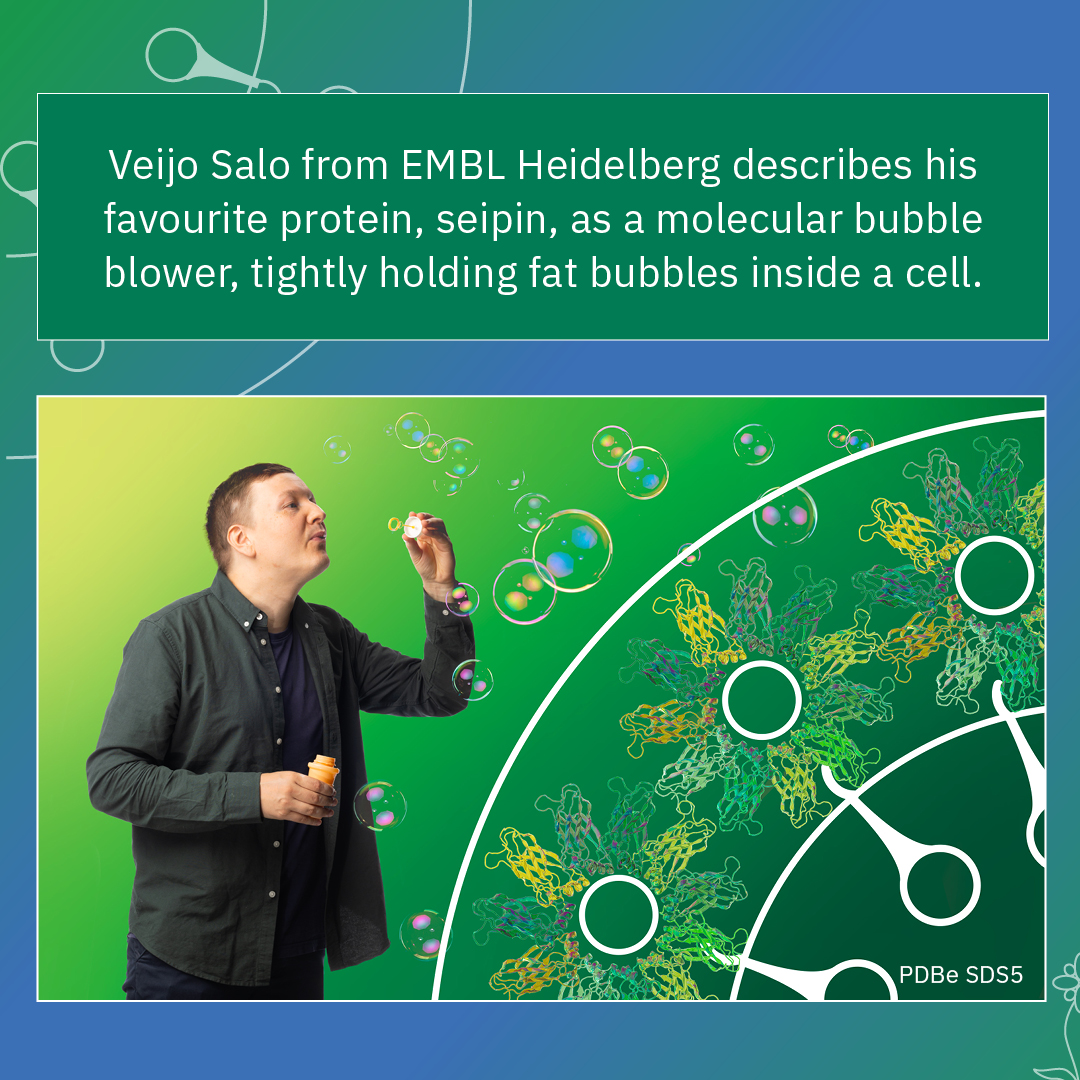 embl's tweet photo. Science is full of wonder, creativity, and unexpected stories!

🌟 In this special series, EMBL scientists share their passion about proteins in stories full of curiosity and imagination.

👀 Join us in uncovering nature’s hidden structures: https://t.co/EbmiwKiAuZ

1/2 https://t.co/OfdbG7dtcA