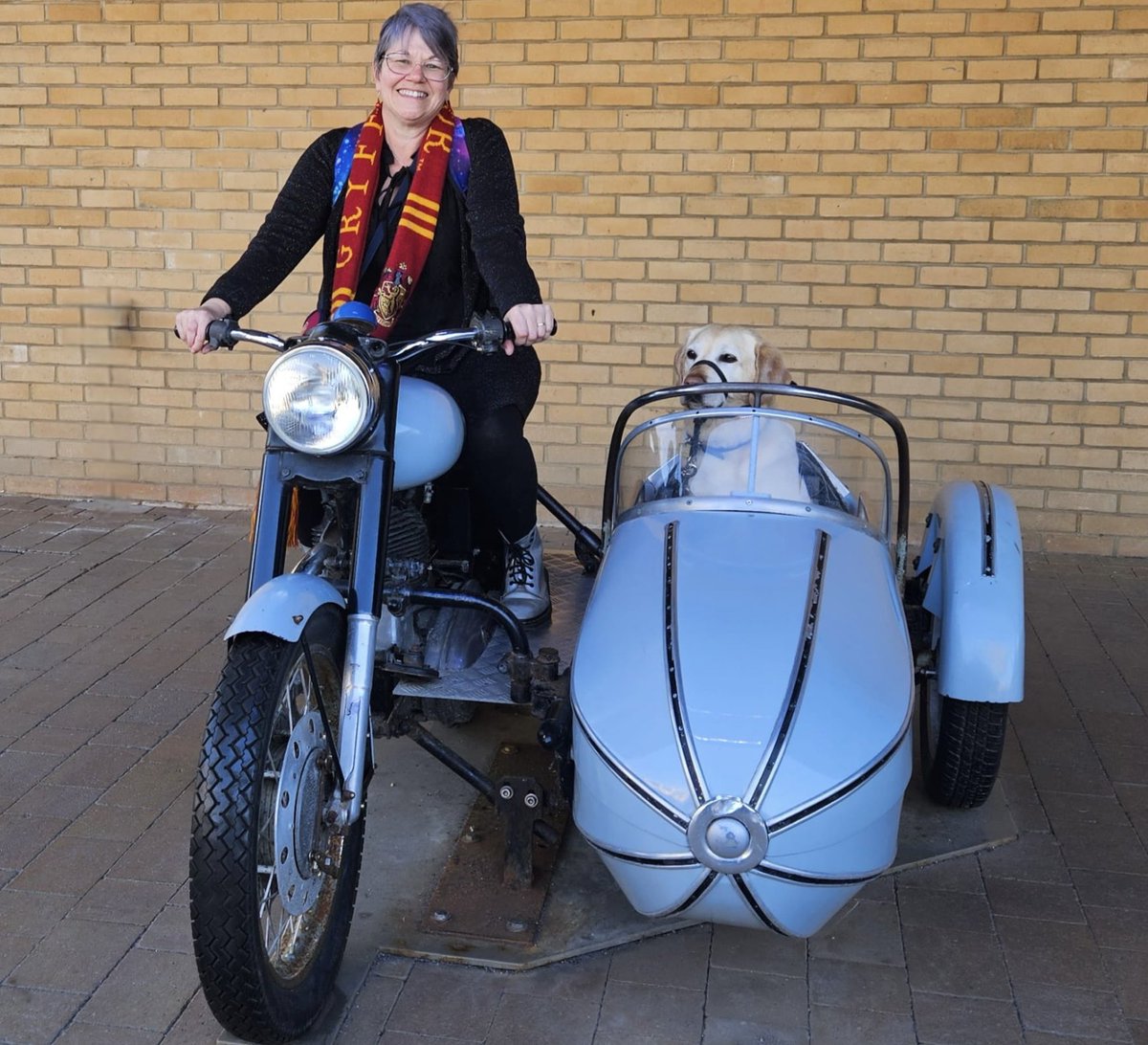 Cane_Mabel's tweet photo. @guidedogs Mabel and I had a lovely time at      #WBTourLondon yesterday. Shoutout to our wonderful guide Libby. https://t.co/72Th2M6I5M