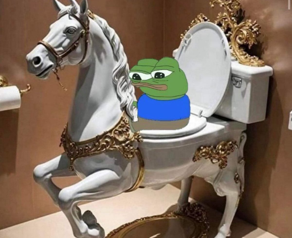 SASHA CHUDO tweet media