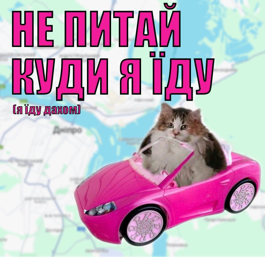 Raiden Shogun🇺🇦 tweet media