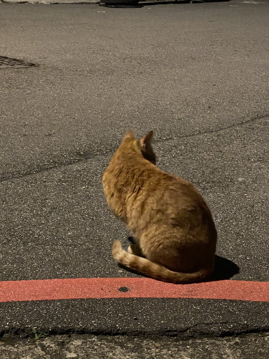 vicky100768's tweet photo. ⚠️12號開始可以約改運 加持 辦事
有想辦事的請自己私訊我
辦事收費請自重
（高雄捷運可到）
（或提早約其他南部地區）

可到醫院辦事
不要自己想辦事又要我三催四請 https://t.co/6hafq49Rnp
