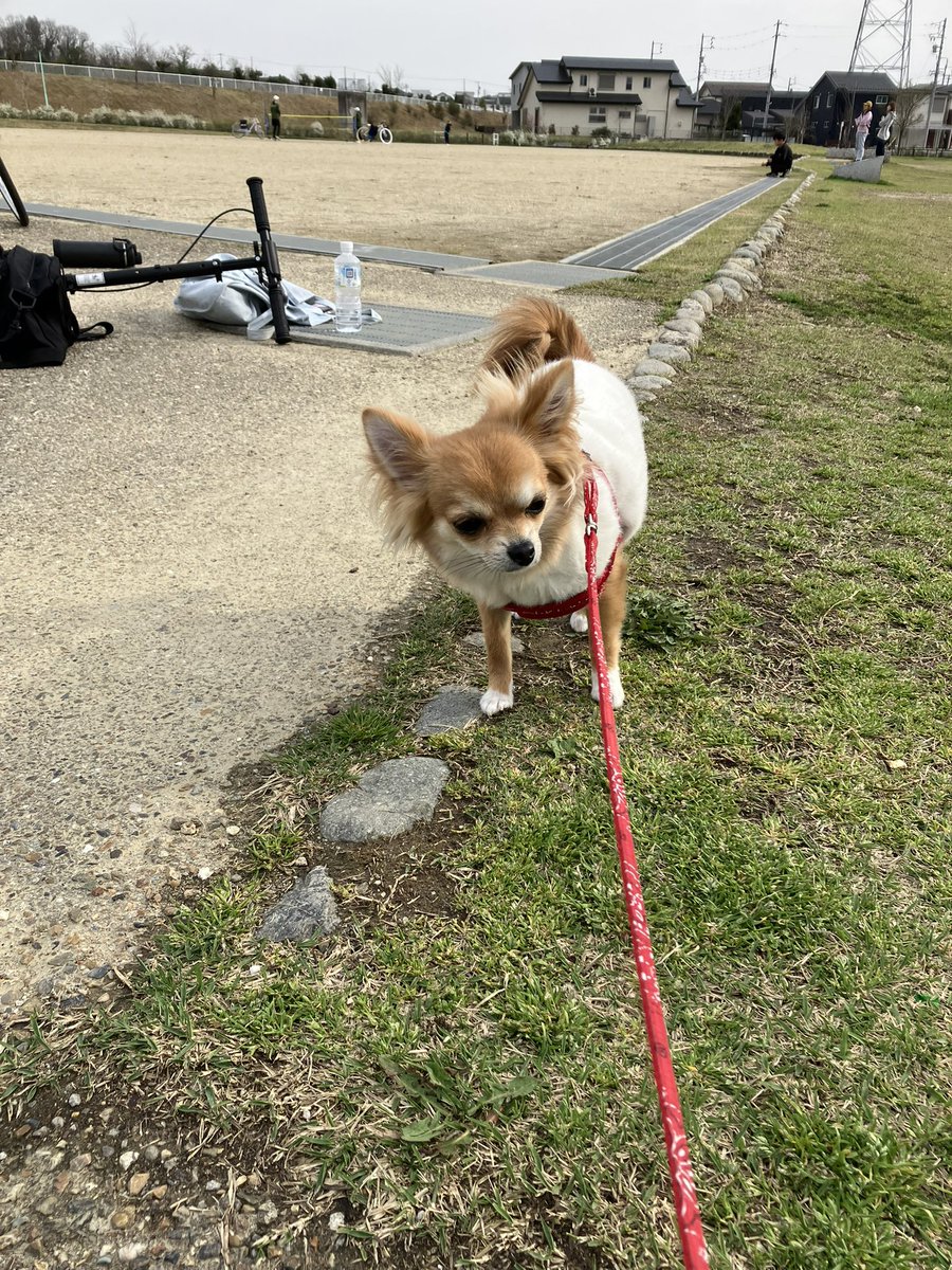 流行りの擬人化
かわいい