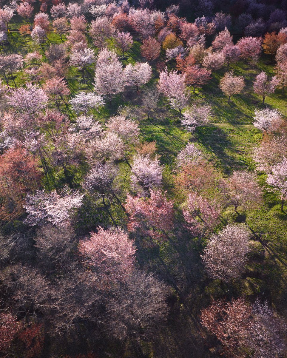 Ryo さん専用ページ r y o (@_pryo_) / Posts / X