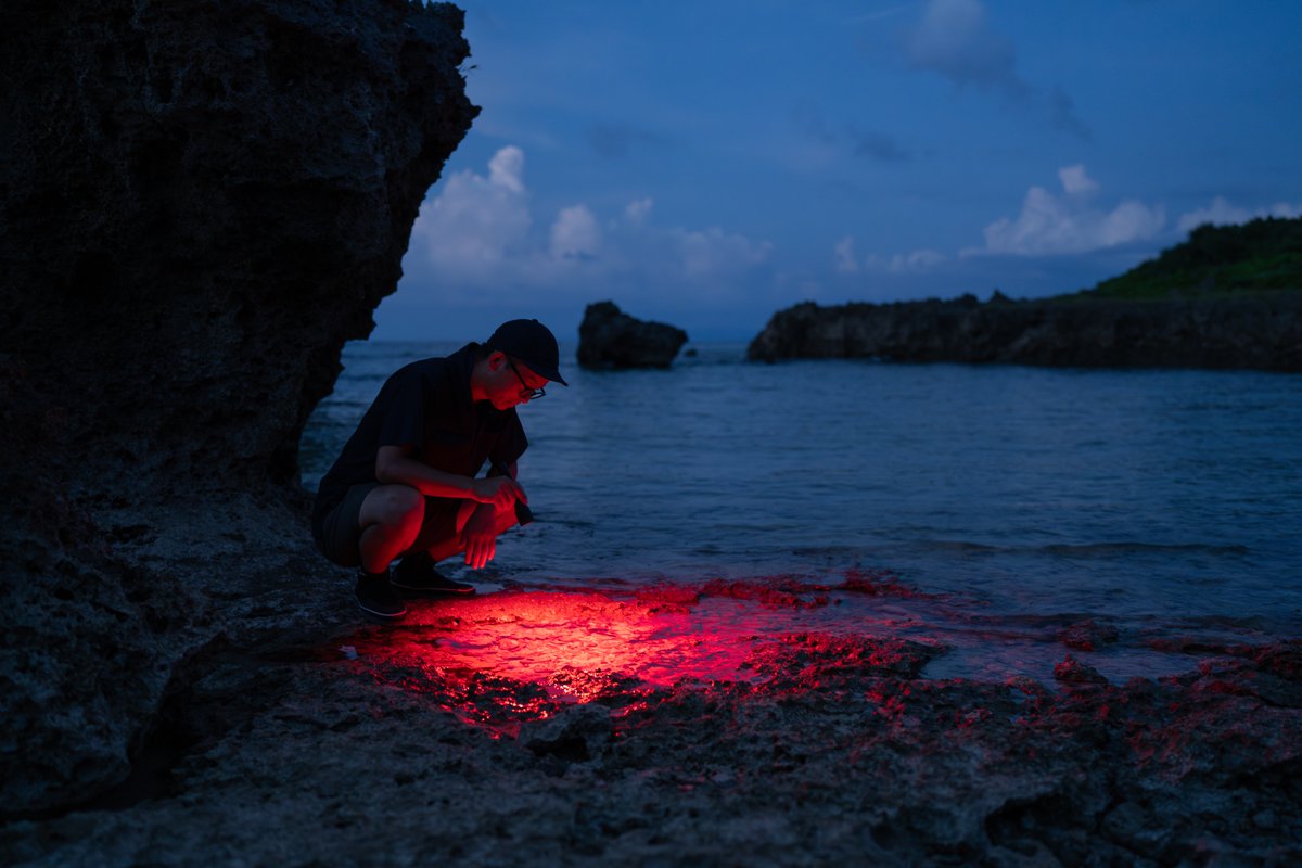 KdoMagazin's tweet photo. Taktisches Licht: Die neue #Taschenlampe #P9R Core LEP von #Ledlenser vereint Laserkraft für einen stark gebündelten Lichtstrahl und homogenes Licht für den Nahbereich. Damit ist sie ideal für Rettungs- und Einsatzkräfte sowie #SOF. Mehr in K-ISOM 4-2025. https://t.co/qqkpxfYUs9