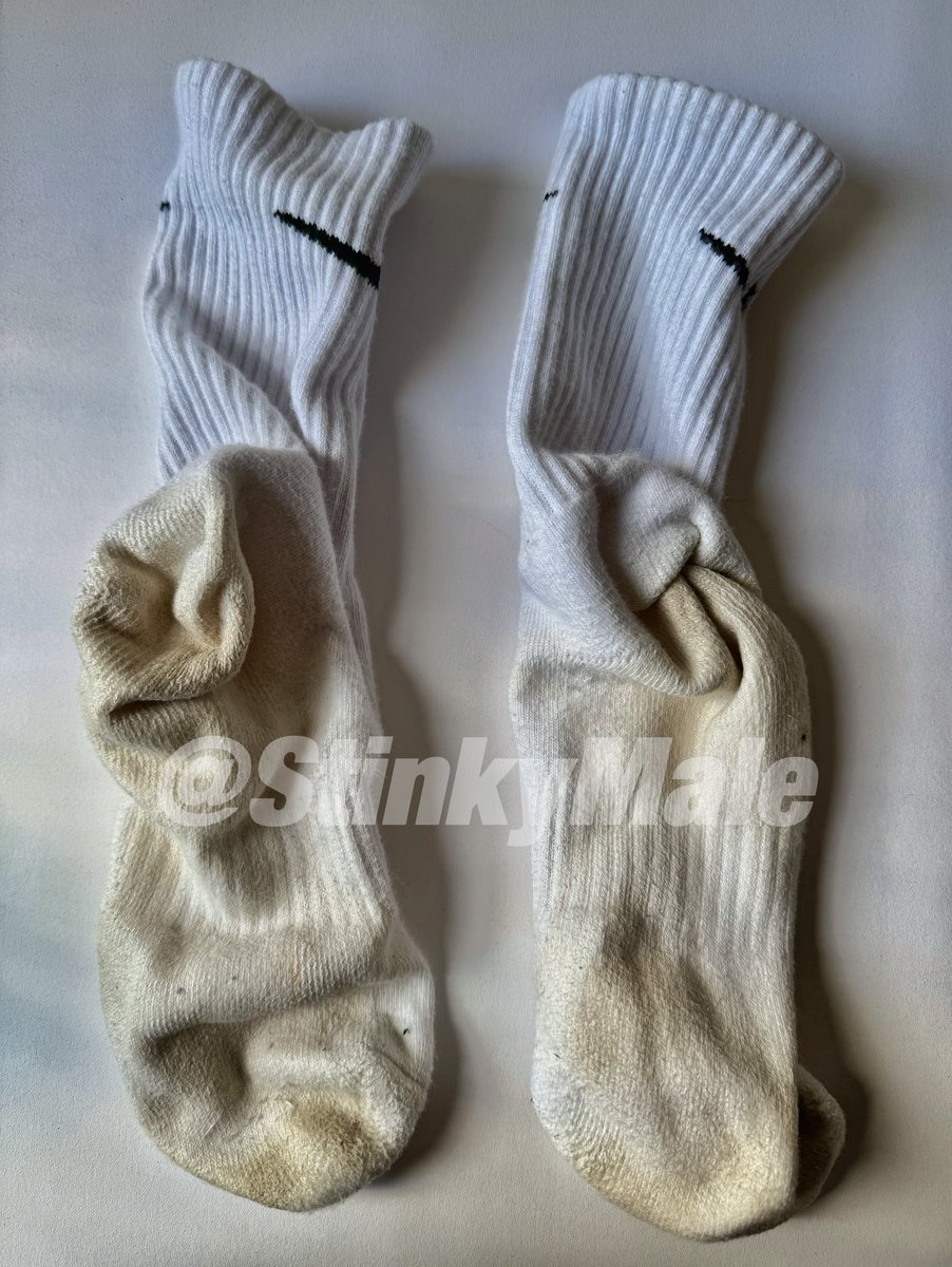 StinkyMale's tweet photo. 脚掌位置泛黄，脚趾缝里湿热黏腻，每一步都在把脚汗和脚垢深深揉进袜��。脱下来的那一刻，一股浓烈的脚酸味直冲鼻腔——混着闷湿的汗味和脚垢，狗奴忍不住想扑上去狠狠吸一口。袜布贴着脚心的位置已经发硬，趾尖处还能看见被汗液晕染出的深色印痕。来贱狗！伸出舌头好好操我这满是汗臭的脚趾缝 https://t.co/GWuf4ZQ4Uz