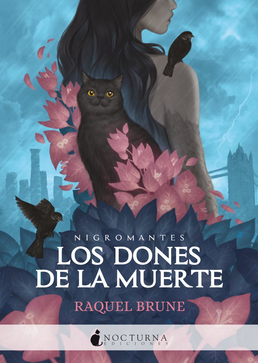 Nocturna tweet media