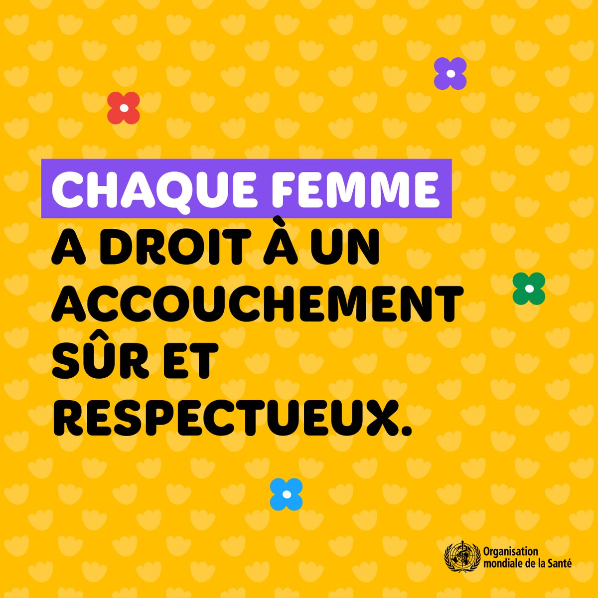 Chaque jour, 800 femmes décèdent de complications évitables liées à la grossesse et à l’accouchement. La plupart de ces décès peuvent être évités grâce à des soins de qualité en temps opportun.
#WorldHealthDay2025 
#MaternalHealthMatters