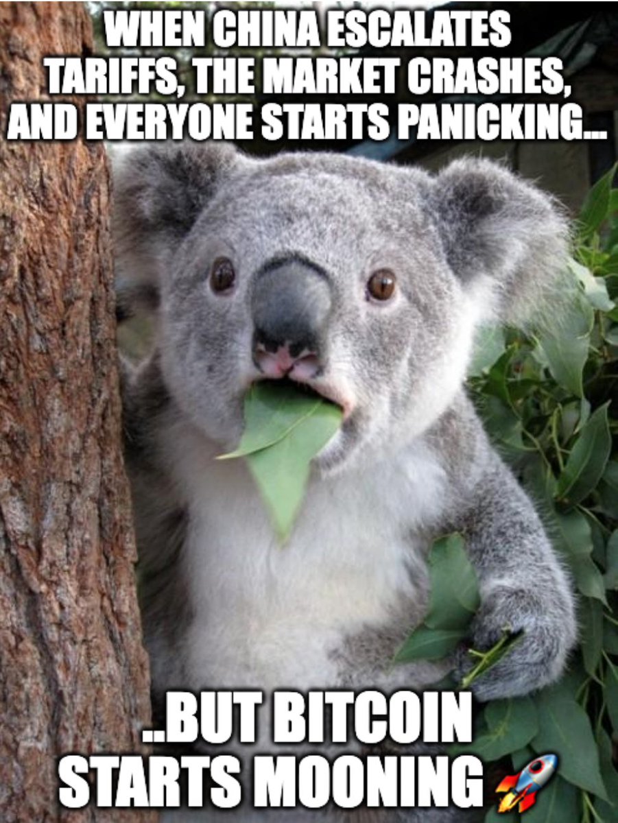 Heim_AI's tweet photo. Space: CHINA TARIFFS CAUSE GLOBAL MARKET MELTDOWN created by @RoundtapeSpace 
Language: English 
(Full summary below)
.
.
Bitcoin: When the world goes crazy, I’m here to save the day 🌍💰 #BitcoinSafeHaven
#HeimAI #SpeechRecognitions #ASR #Bitcoin #CryptoSafeHaven #MarketCrash #TradeWar #CryptoAdoption