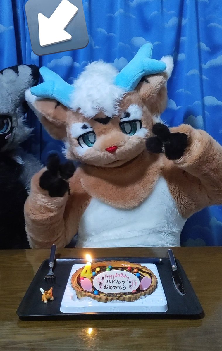 4/10でルドルフが4歳になりました🦌
まだまだ色んなところに出向きたいのでこれからもよろしくお願いします！！❤
