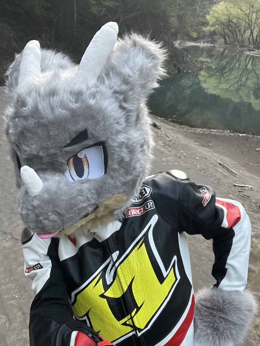 wolfmuzzle11's tweet photo. #Harmaa
ハルマアである https://t.co/Y30AVzEo3H