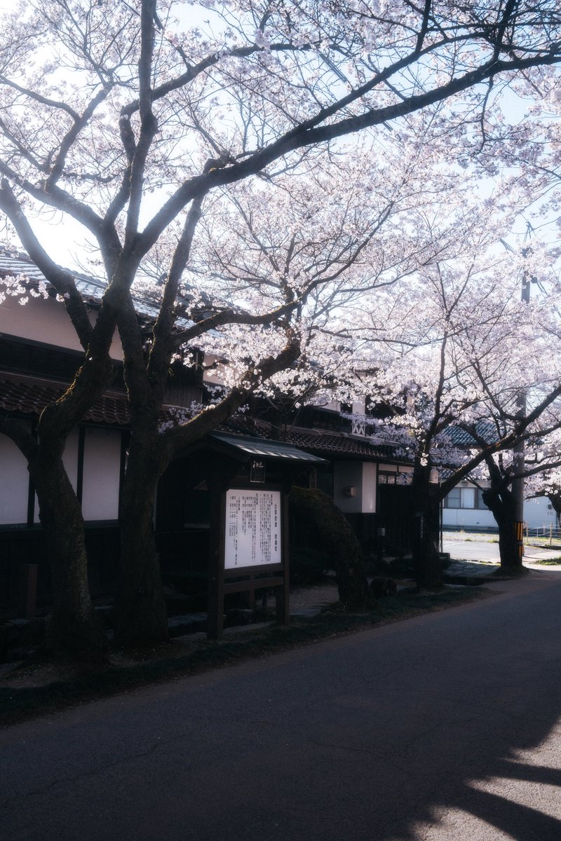 nksync's tweet photo. 宿場町の朝が美しすぎた。 https://t.co/YD05ZzWIyk