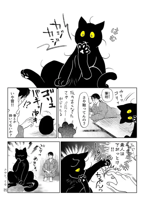 筆坊日記123

爆音で爪さや取る猫 