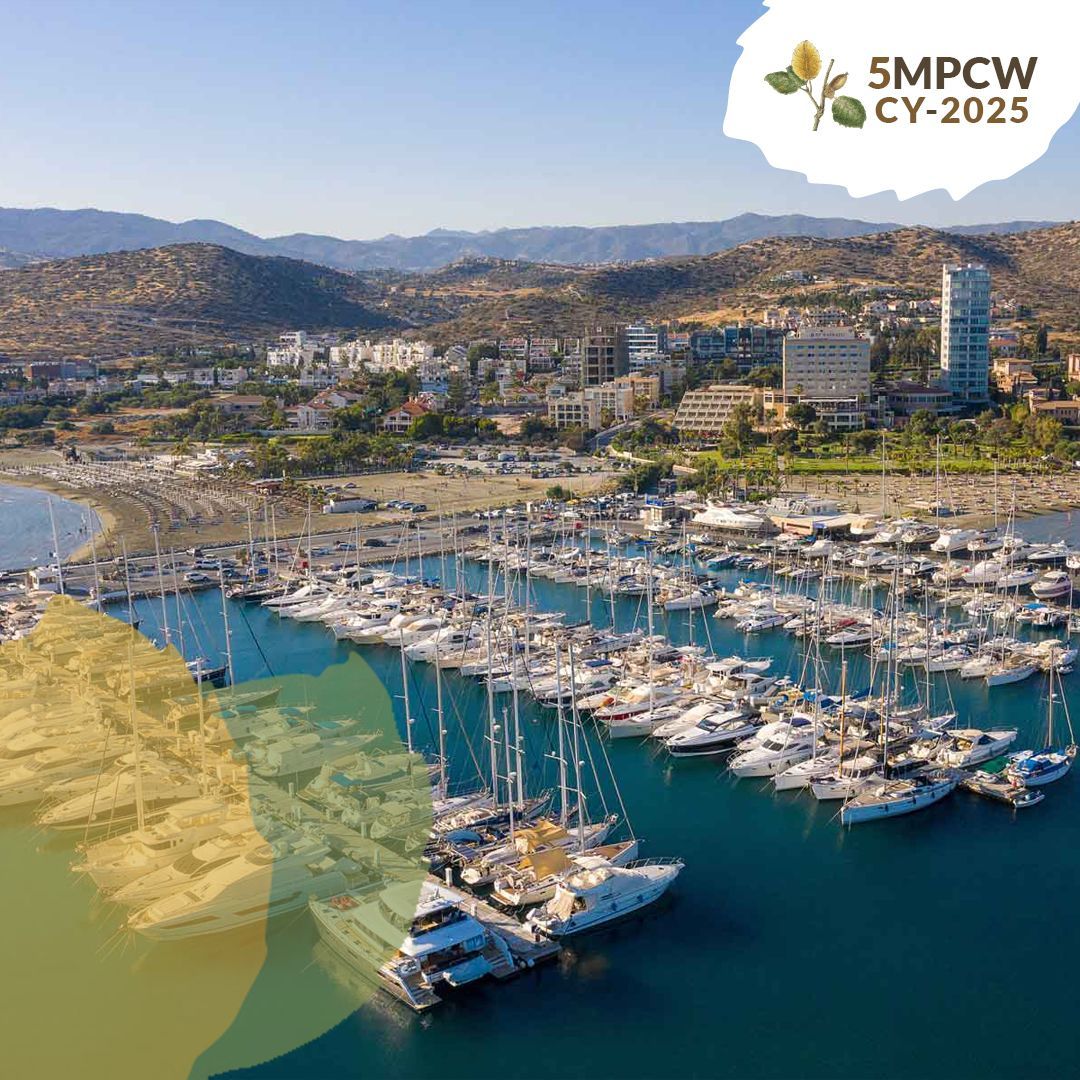 5MPCW's tweet photo. Whether you're grabbing a coffee, or simply moving between sessions, make the most of your surroundings. You’ve earned it! 

✨ Visit Amathus Ruins (3 km west of the Venue)
✨ Don't forget to share your moments!

#5MPCW #Limassol #PlantConservation #Conference https://t.co/7kxfpHqZWy