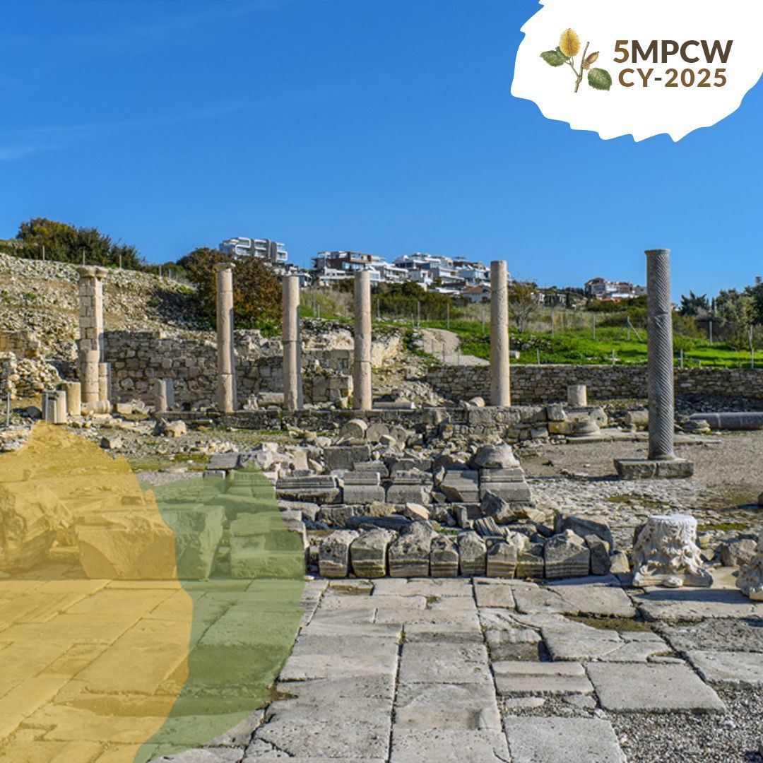 5MPCW's tweet photo. Whether you're grabbing a coffee, or simply moving between sessions, make the most of your surroundings. You’ve earned it! 

✨ Visit Amathus Ruins (3 km west of the Venue)
✨ Don't forget to share your moments!

#5MPCW #Limassol #PlantConservation #Conference https://t.co/7kxfpHqZWy